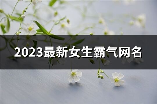 2023最新女生霸气网名(共688个)