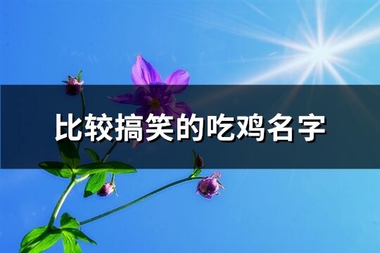 比较搞笑的吃鸡名字(优选358个)