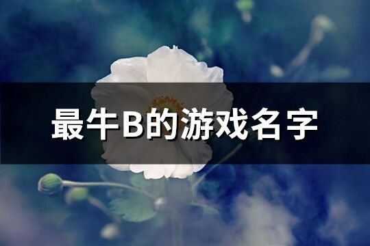 最牛B的游戏名字(优选186个)