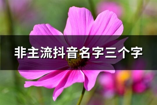 非主流抖音名字三个字(782个)