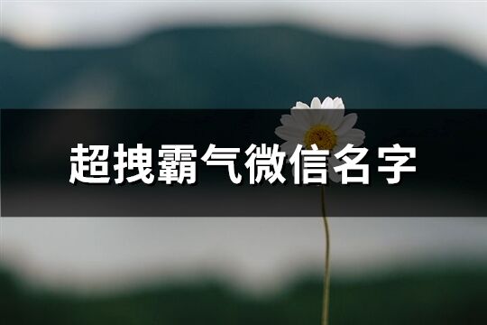 超拽霸气微信名字(657个)