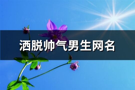 洒脱帅气男生网名(优选270个)