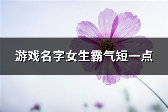 游戏名字女生霸气短一点(精选476个)