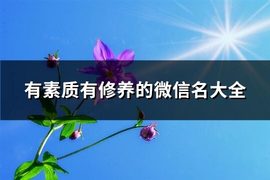 有素质有修养的微信名大全(优选680个)