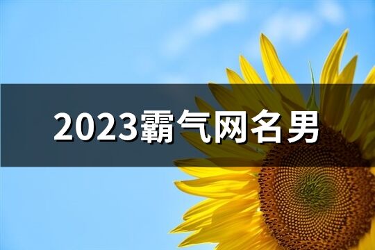 2023霸气网名男(共763个)