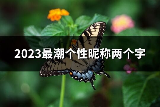 2023最潮个性昵称两个字(优选2110个)