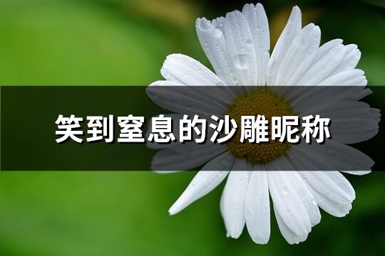 笑到窒息的沙雕昵称(优选379个)