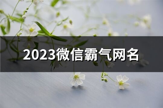 2023微信霸气网名(优选458个)