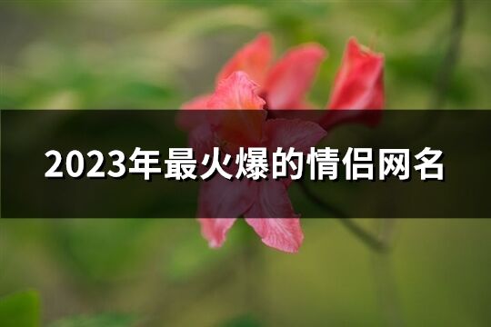 2023年最火爆的情侣网名(优选275个)