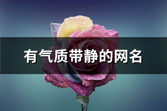 有气质带静的网名(精选111个)