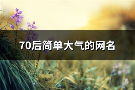 70后简单大气的网名(302个)