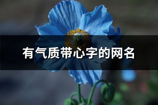 有气质带心字的网名(158个)