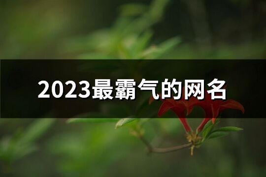 2023最霸气的网名(精选568个)