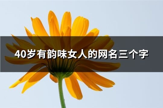 40岁有韵味女人的网名三个字(共254个)