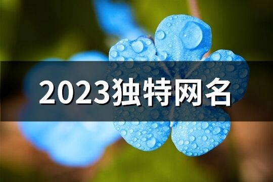 2023独特网名(优选940个)