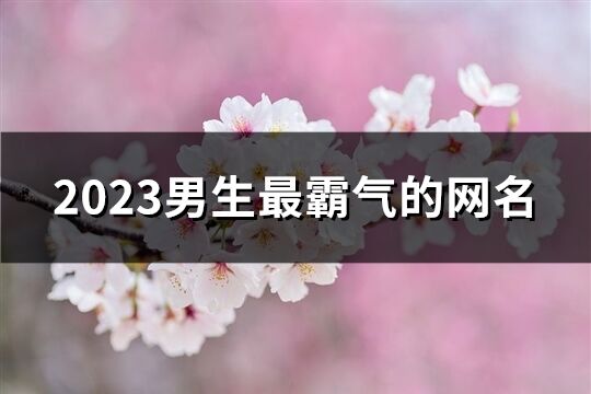 2023男生最霸气的网名(929个)