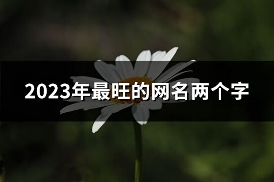 2023年最旺的网名两个字(674个)