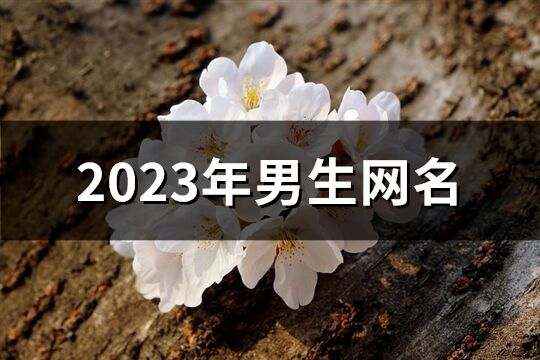 2023年男生网名(精选791个)