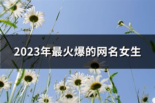 2023年最火爆的网名女生(精选859个)