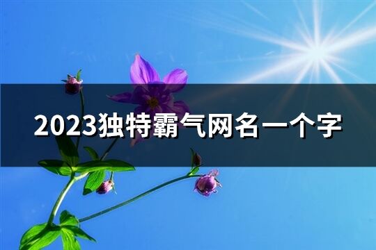 2023独特霸气网名一个字(72个)