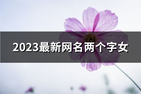 2023最新网名两个字女(优选1141个)