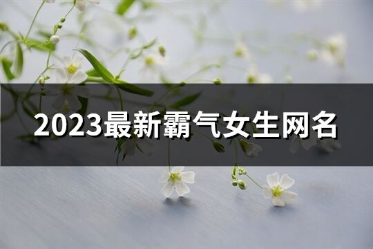 2023最新霸气女生网名(共784个)