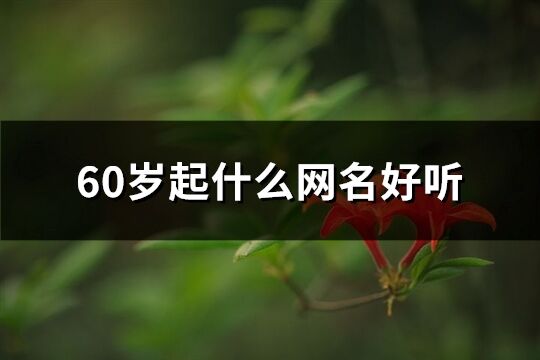 60岁起什么网名好听(489个)