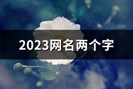 2023网名两个字(746个)