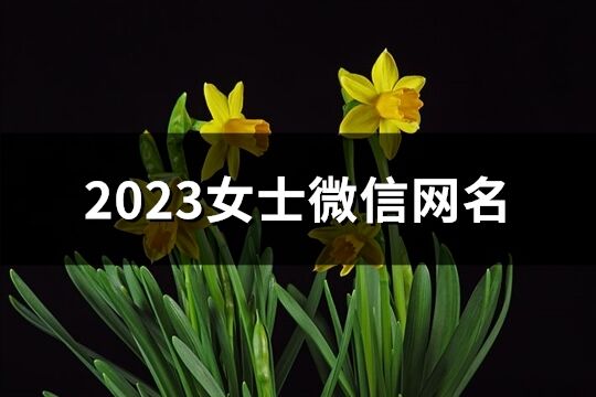 2023女士微信网名(精选1002个)