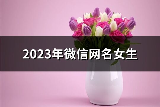 2023年微信网名女生(优选1280个)