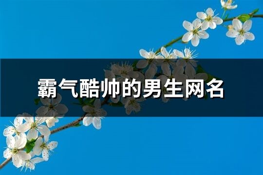 霸气酷帅的男生网名(精选567个)