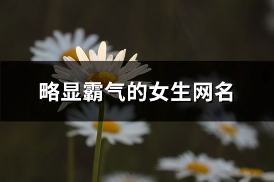 略显霸气的女生网名(优选544个)