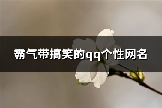 霸气带搞笑的qq个性网名(精选294个)