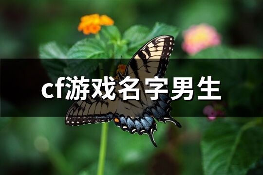 cf游戏名字男生(优选349个)