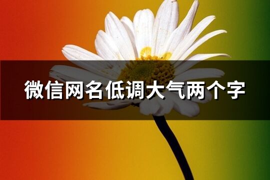 微信网名低调大气两个字(1054个)