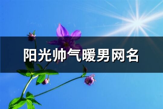 阳光帅气暖男网名(精选200个)