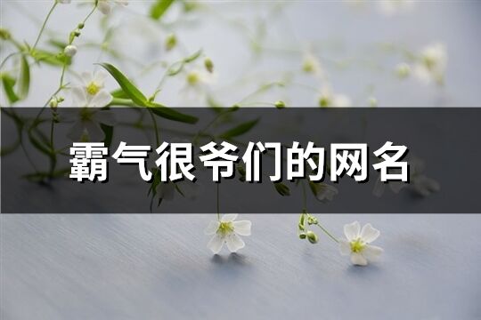 霸气很爷们的网名(精选181个)