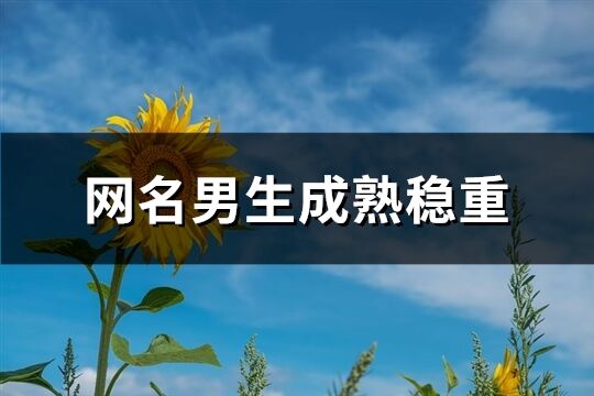 网名男生成熟稳重(1059个)