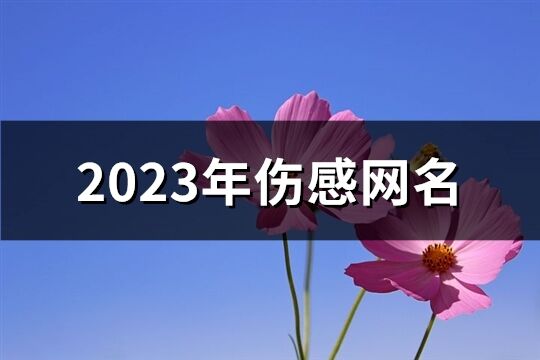 2023年伤感网名(513个)