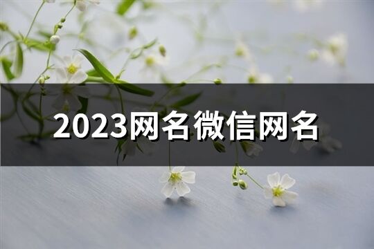 2023网名微信网名(精选3049个)