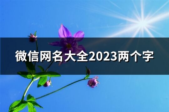 微信网名大全2023两个字(精选1394个)