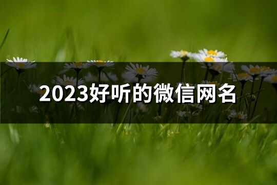 2023好听的微信网名(优选790个)