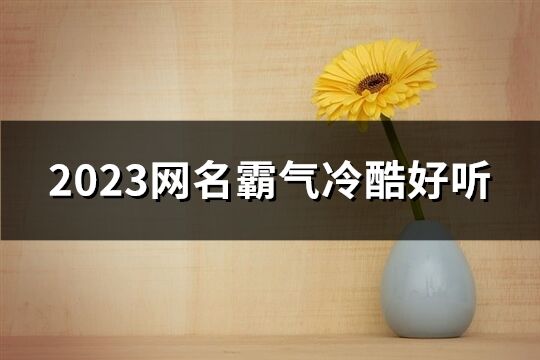 2023网名霸气冷酷好听(438个)