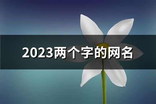 2023两个字的网名(共995个)