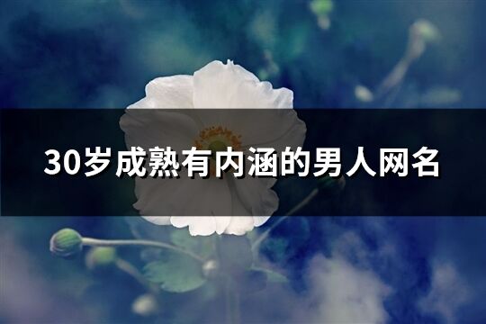 30岁成熟有内涵的男人网名(精选350个)