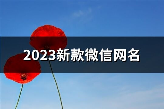 2023新款微信网名(共2955个)