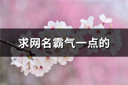 求网名霸气一点的(精选555个)