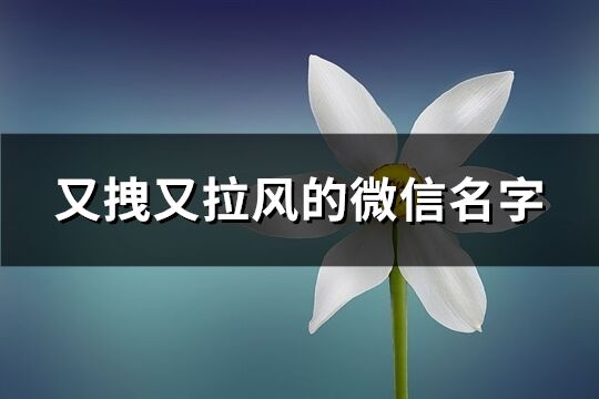 又拽又拉风的微信名字(495个)