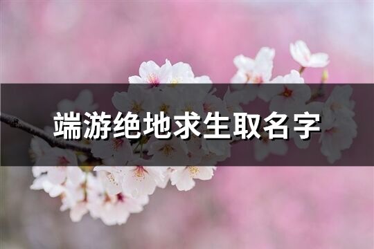 端游绝地求生取名字(精选1506个)