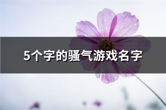 5个字的骚气游戏名字(共383个)